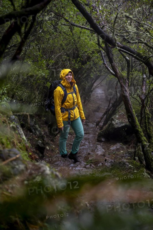 Hiker in dark forest, Vereda Francisco Achadinha hiking trail, Rabacal, Paul da Serra, Madeira, Portugal, Europe