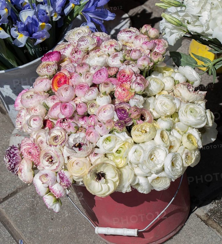 Fresh colorful Flowers put in vases at the florists