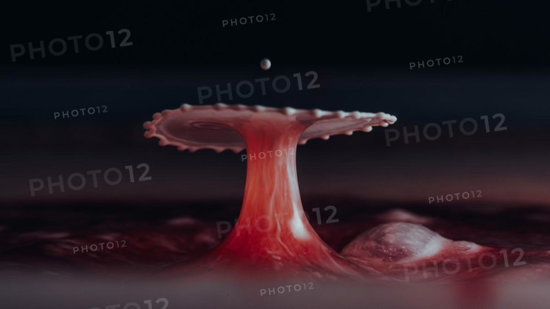 Macro Photography Water Drops