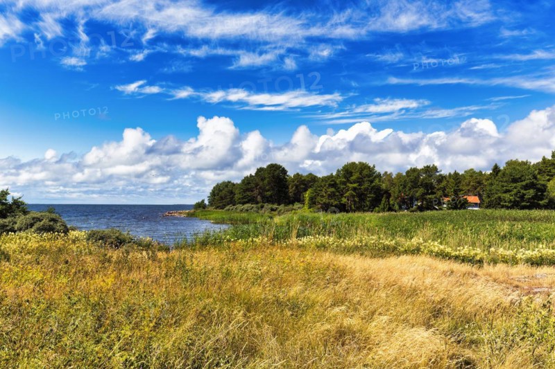 Typical coastline in summer, Eckeroe, Fasta Aland, Aland Islands, Aland Islands, Finland, Europe