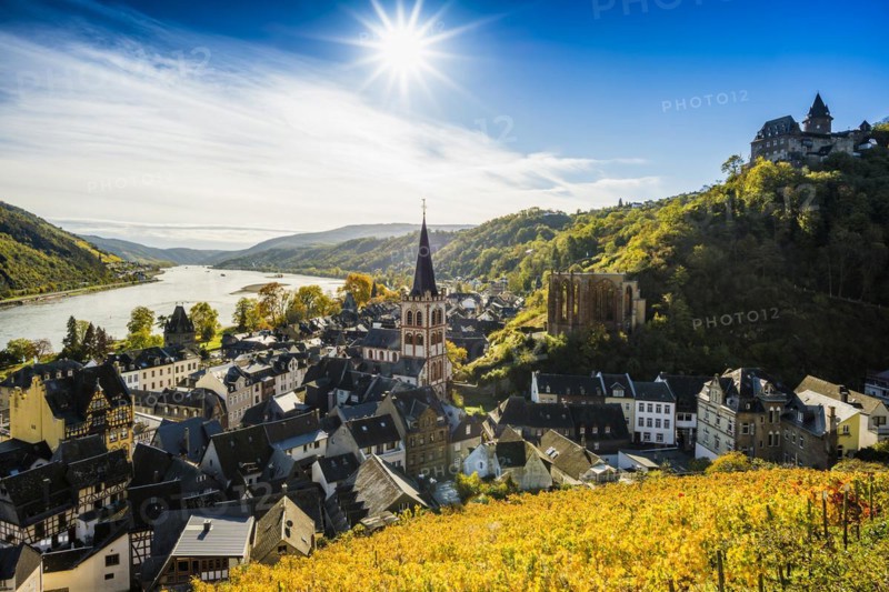 Vineyards and town, St. Peters Parish Church and church ruins of Werner Chapel and Stahleck Castle, Bacharach, Upper Middle Rhine Valley, UNESCO World Heritage Site, Rhine, Rhineland-Palatinate, Germany, Europe