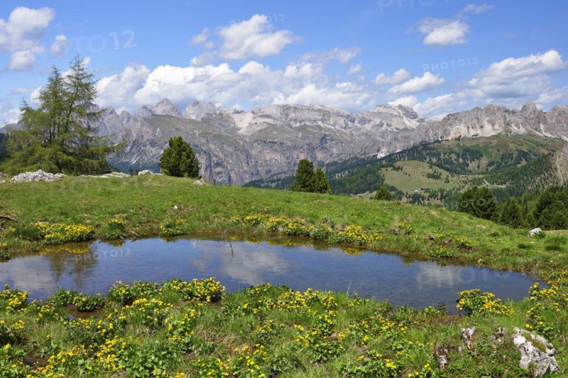Sella Pass, pond with mountain panorama, South Tyrol, Italy, Europe