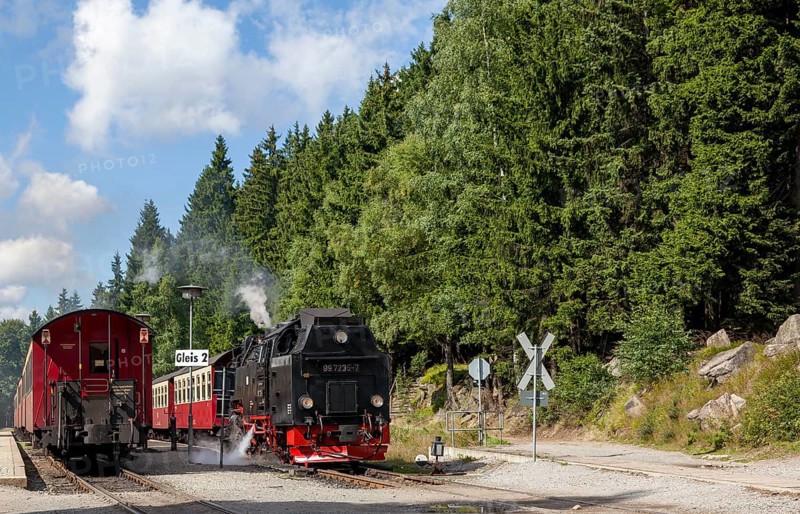 Steam train, Brockenbahn, narrow-gauge railway, Brocken, Harz, Saxony-Anhalt, Germany, Europe