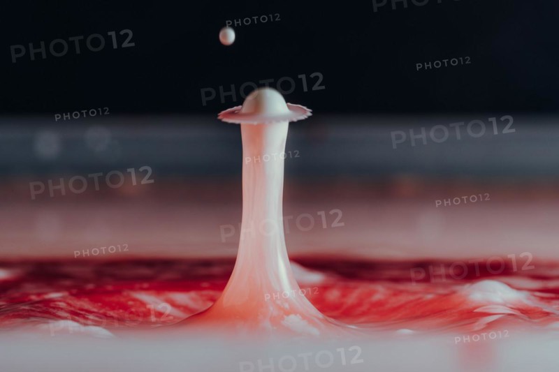 Macro Photography Water Drops