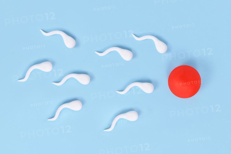 Abstract sperm cells swimming towards egg cell on blue background