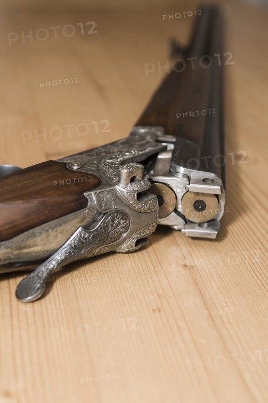 Decorated hunting weapons with ammunition, hunting license and gun ownership card and, Hesse, Germany, Europe