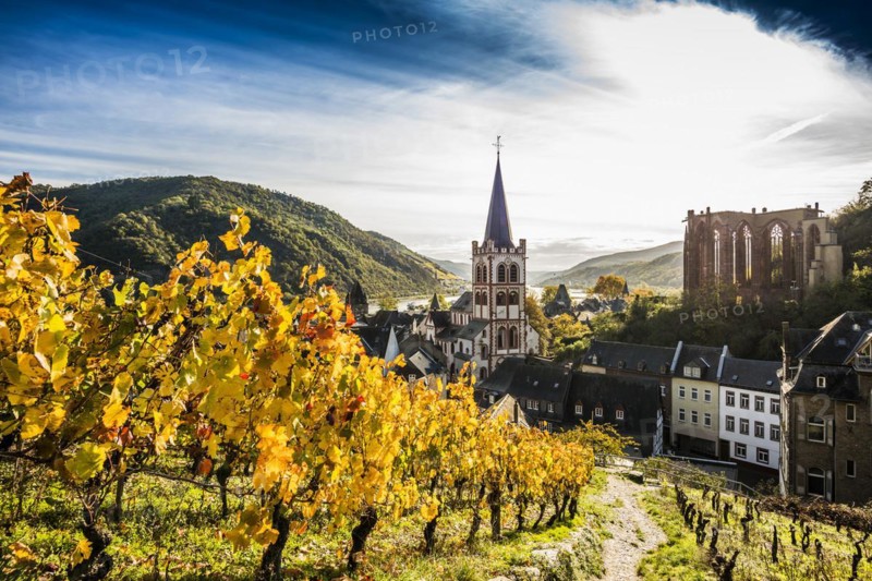 Vineyards and town, St. Peters Parish Church and the ruined Werner Chapel, Bacharach, Upper Middle Rhine Valley, UNESCO World Heritage Site, Rhine, Rhineland-Palatinate, Germany, Europe