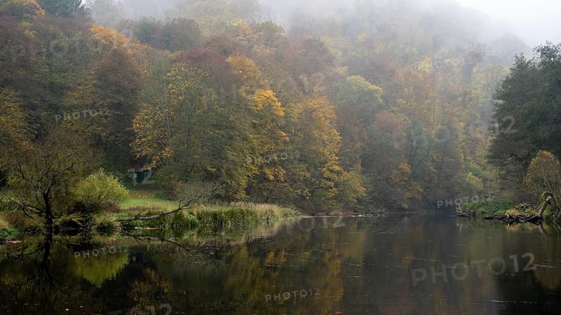Foggy atmosphere, River Thaya in autumn, National Park Thayatal, Hardegg, Lower Austria, Austria, Europe