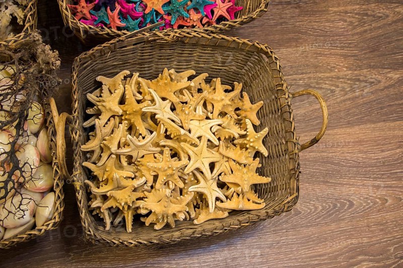 Beautiful starfish for decorative purposes