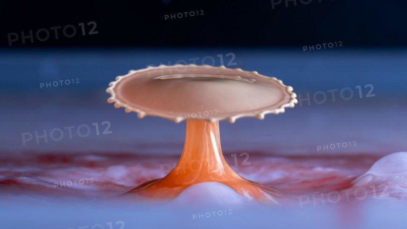 Macro Photography Water Drops
