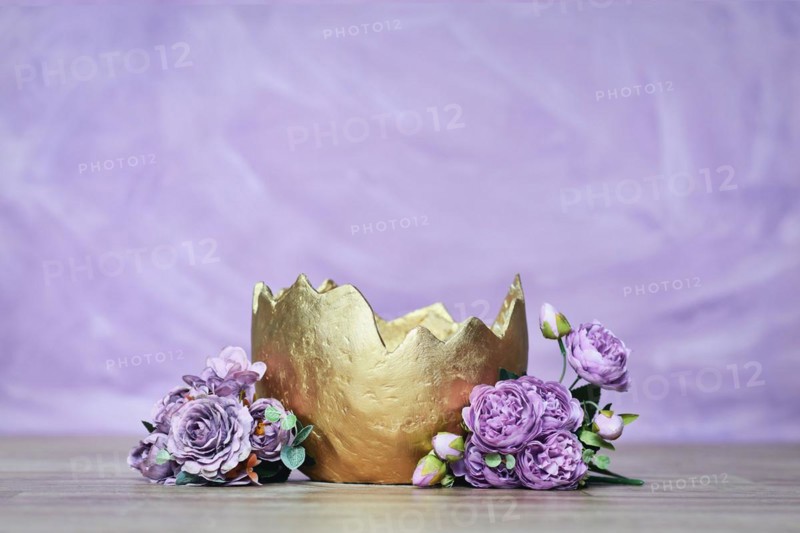 Newborn digital backdrop with golden egg with flowers on violet background