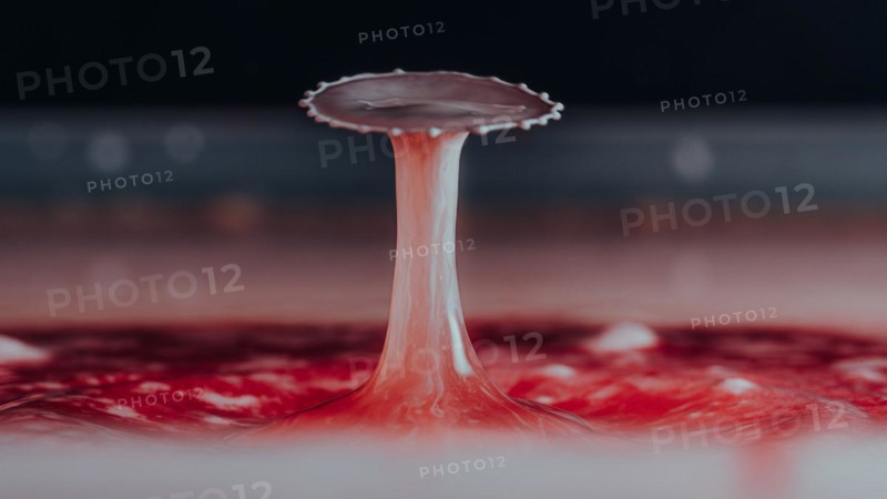 Macro Photography Water Drops