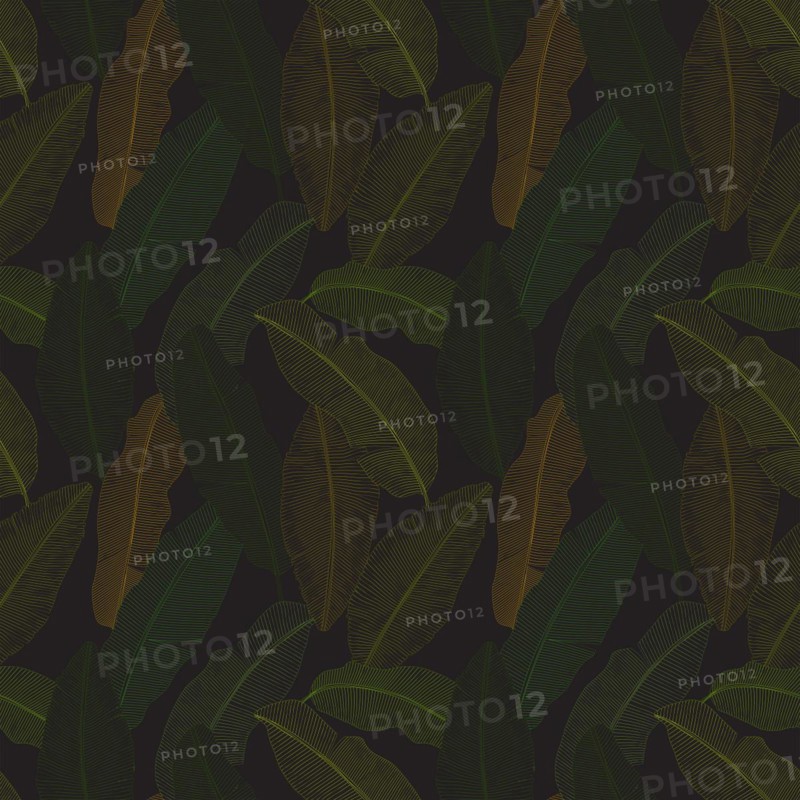 Vector banana leaves seamless pattern within line art style