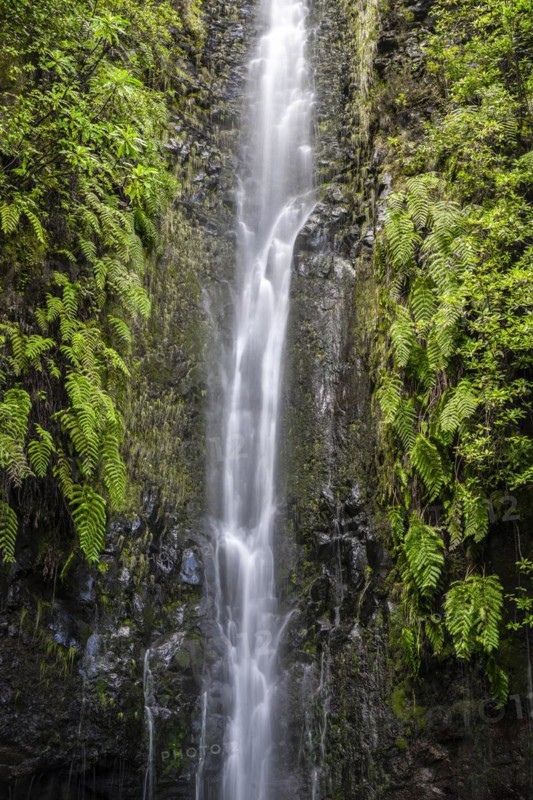 River and waterfall Cascata das 25 Fontes, long exposure, Rabacal, Paul da Serra, Madeira, Portugal, Europe