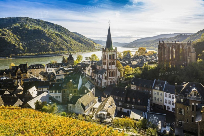 Vineyards and town, St. Peters Parish Church and the ruined Werner Chapel, Bacharach, Upper Middle Rhine Valley, UNESCO World Heritage Site, Rhine, Rhineland-Palatinate, Germany, Europe