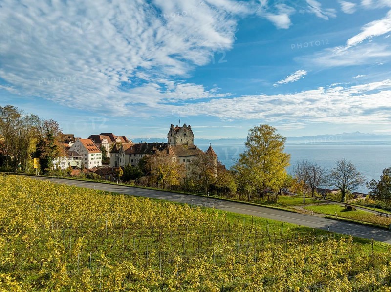 View over vineyard to the historic and inhabited Meersburg Castle, Lake Constance district, Baden-Wuerttemberg, Germany, Europe