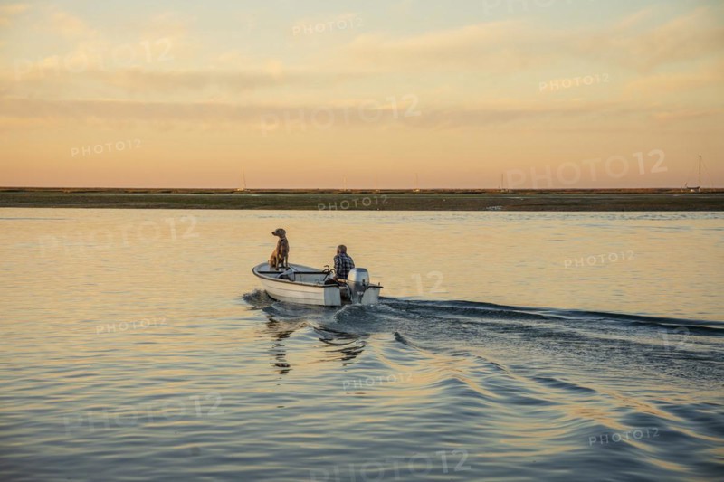 A man and a weimaraner dog on the boat at sunrise on Ria Formosa, Faro, Algarve, Potugal