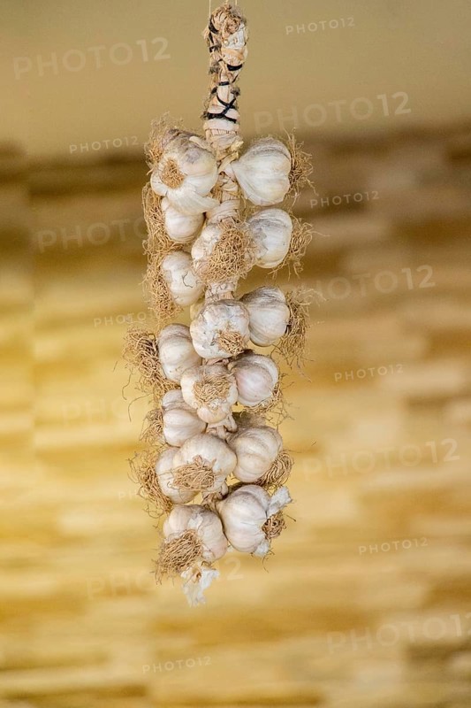 Bunch of garlic bulbs at the market place