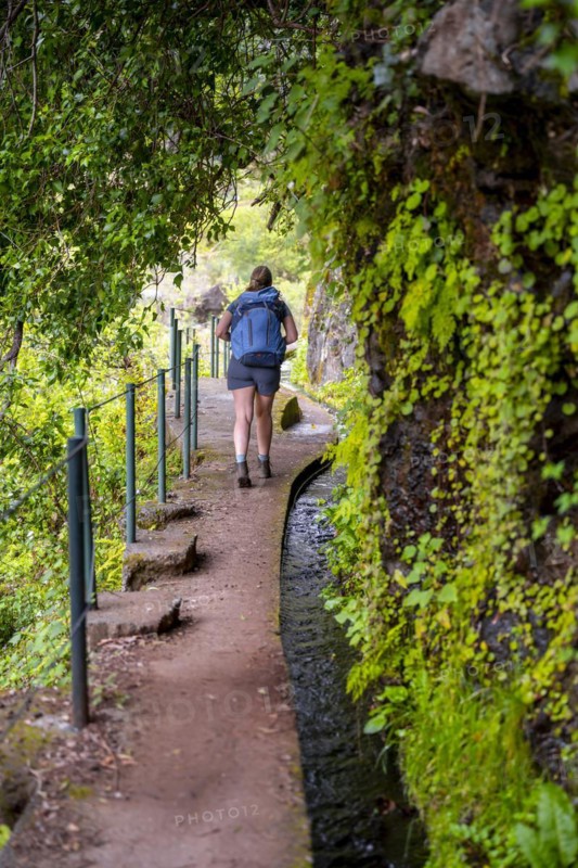 Hiker on Levada do Moinho, Ponta do Sol, Madeira, Portugal, Europe
