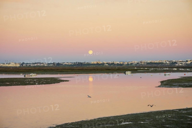 Early morning in Faro, waters of Ria Formosa with moon set and birds, Algarve, Portugal, Europe