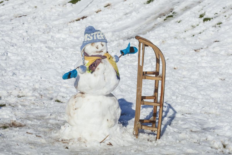 Snowman with sledge, cap and scarf, Bremen, Germany, Europe