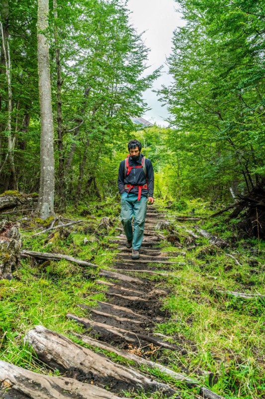Man walking on a path made of old wooden planks to the lagoon at Cerro Castillo mountain, Cerro Castillo National Park, Aysen, Patagonia, Chile, South America