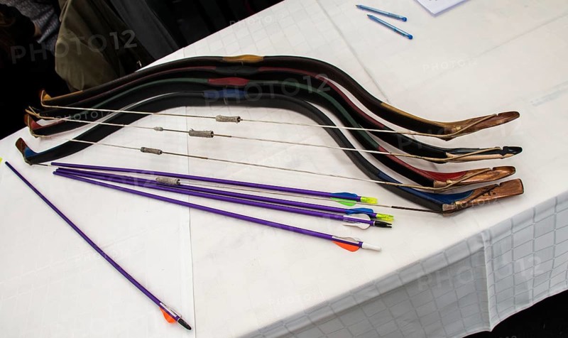 Bow and arrow old weapon system archery