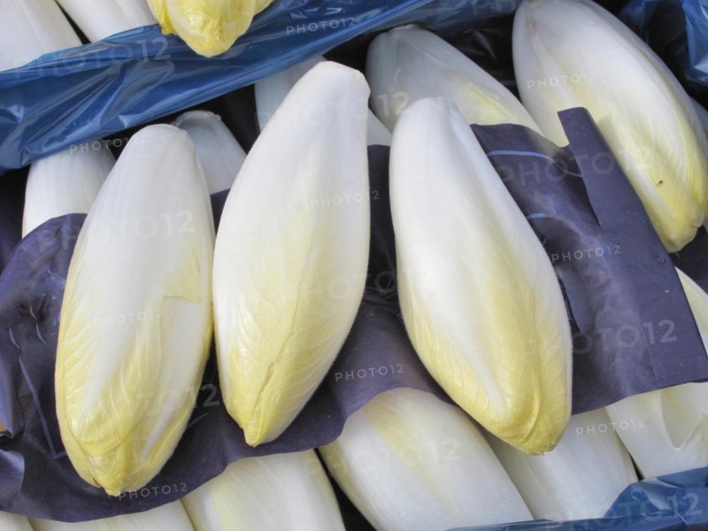 Endives wrapped in box