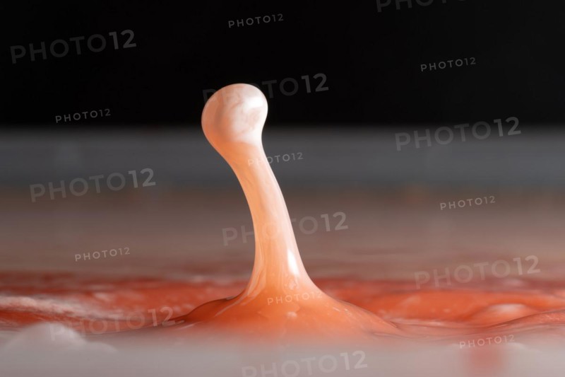 Macro Photography Water Drops