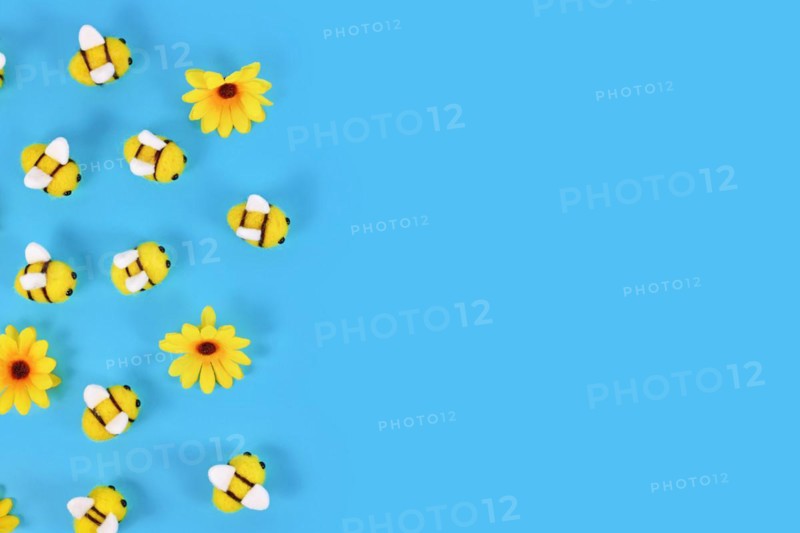 Cute felt bees and yellow flowers on side of blue background with copy space