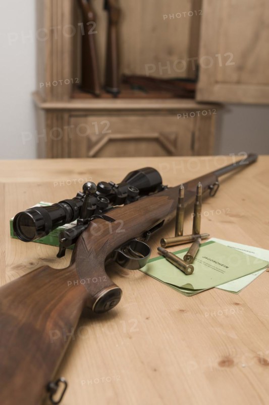 Decorated hunting weapons with ammunition, hunting license and gun ownership card and, Hesse, Germany, Europe