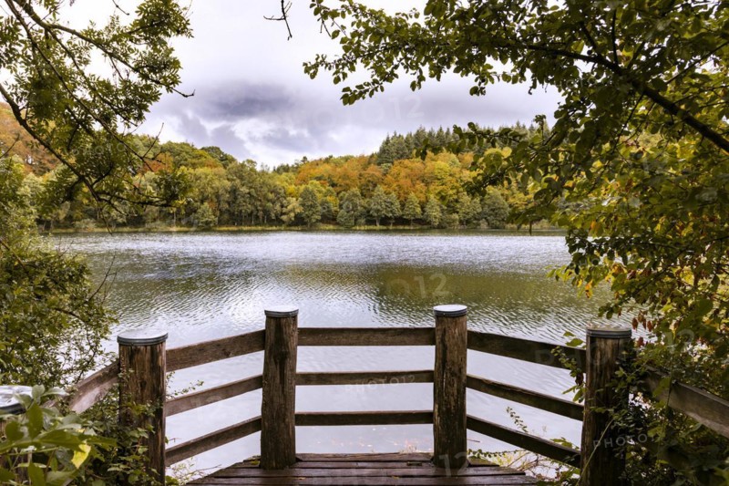 Holzmaar in the Volcanic Eifel, almost completely surrounded by forest, Maare, Maar, lake, nature reserve, Gillenfeld, Rhineland-Palatinate, Germany, Europe