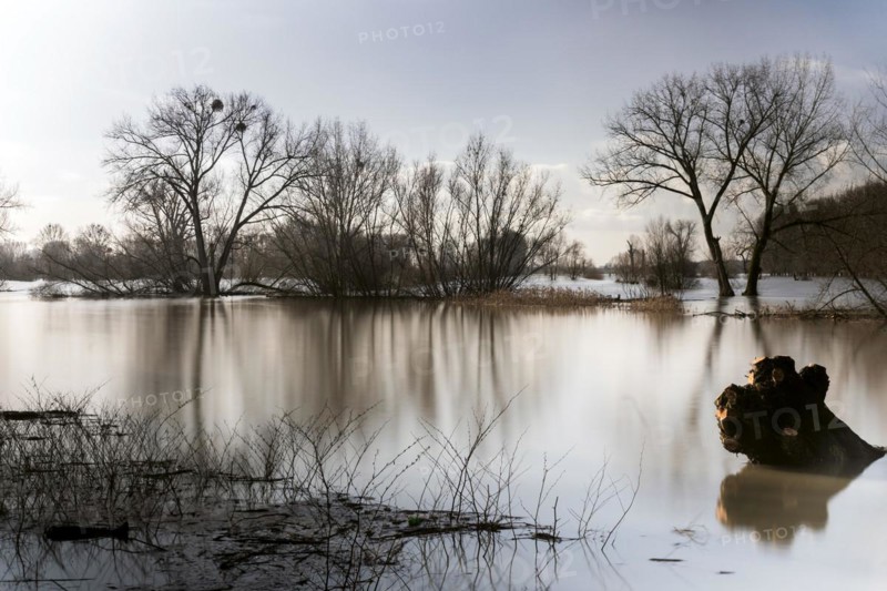 Flooding on the Rhine in the south of Duesseldorf, districts of Benrath and Urdenbach, Duesseldorf, North Rhine-Westphalia, Germany, Europe