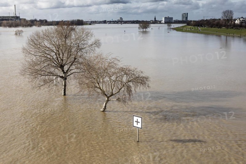 Flooding on the Rhine in Duesseldorf, view towards Oberkassel and Heerdt, flooding, floodplains, Rhine meadows, alluvial deposits, dike, Duesseldorf, North Rhine-Westphalia, Germany, Europe