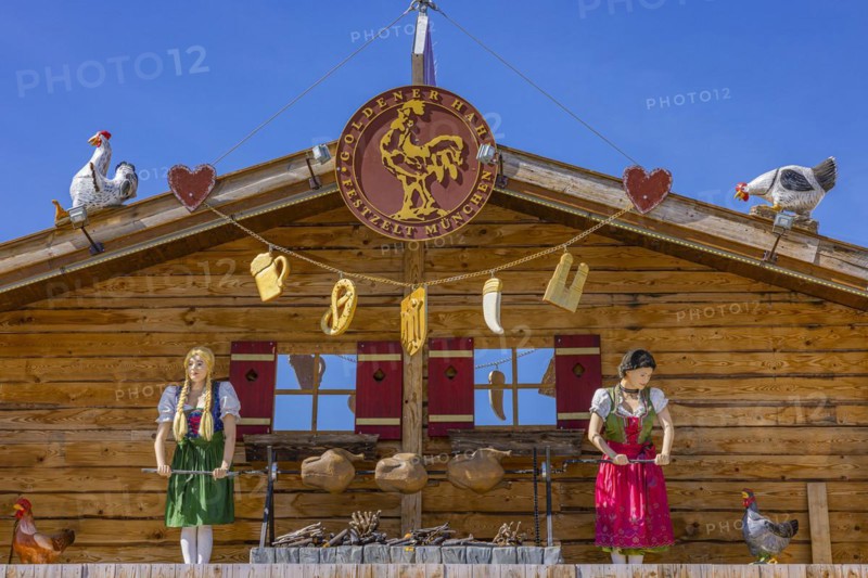 Wiesnaufbau, Hendlbraterei Goldener Hahn, Oktoberfest, Theresienwiese, Munich, Upper Bavaria, Bavaria, Germany, Europe
