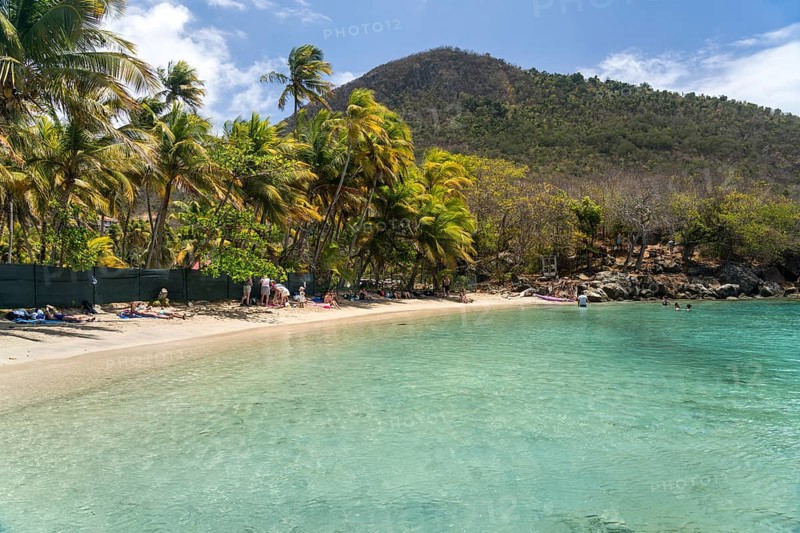 Plage du Pain de sucre beach, Terre-de-Haut island, Les Saintes, Guadeloupe, Caribbean, France, North America