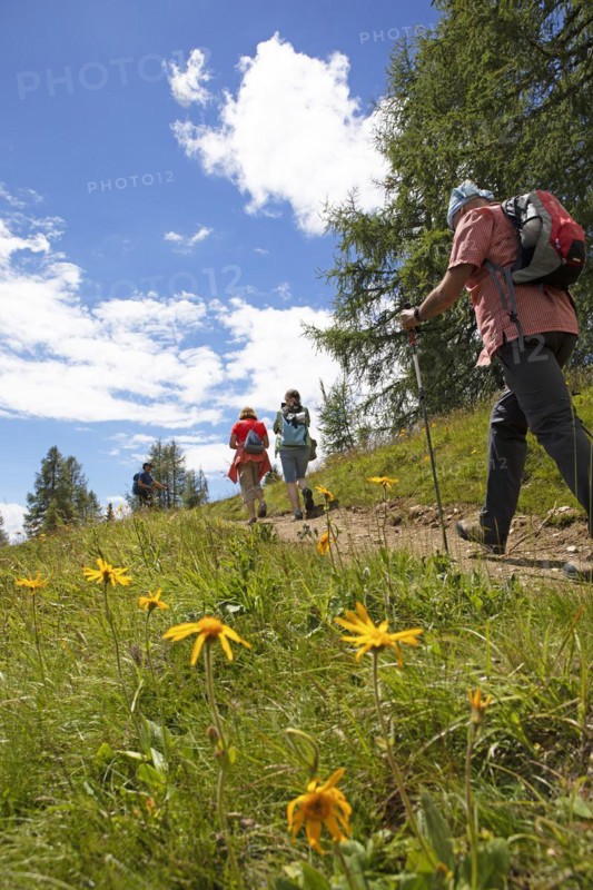Hiking trail on the Gerlitzen Alpe, Carinthia, Austria, Europe