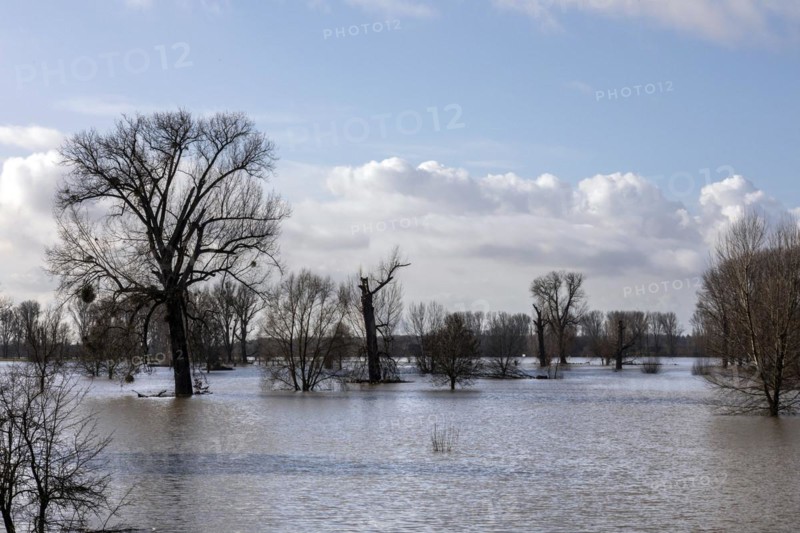 Flooding on the Rhine in the south of Duesseldorf, districts of Benrath and Urdenbach, Duesseldorf, North Rhine-Westphalia, Germany, Europe
