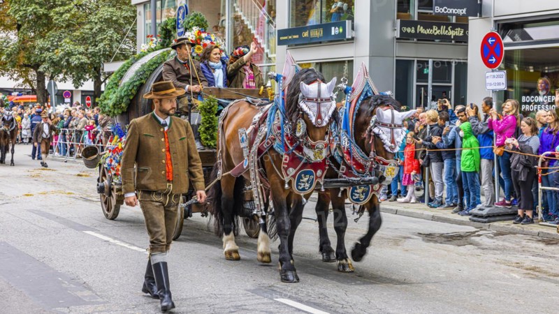Festival procession, entry of the Wiesnwirte, horse-drawn carriage of the Loewenbraeufest tent, Oktoberfest, Munich, Upper Bavaria, Bavaria, Germany, Europe