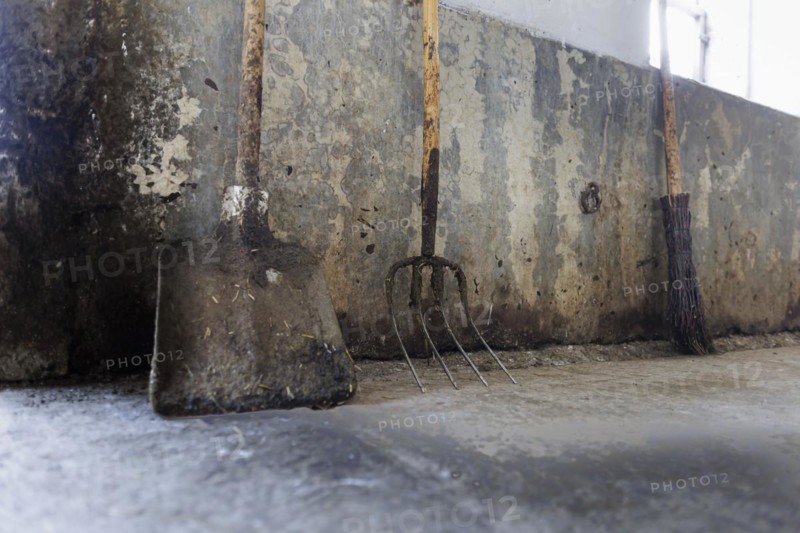 Shovel and pitchfork on a demeter farm in Holzkirchen, 16.06.2022., Holzkirchen, Germany, Europe