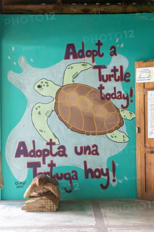 Tortuguero, Costa Rica, The Sea Turtle Conservancy visitor center next to Tortuguero National Park. Giant leatherback, hawksbill, and loggerhead turtles, along with the endangered green turtle, nest along the nearby Caribbean beach, Central America