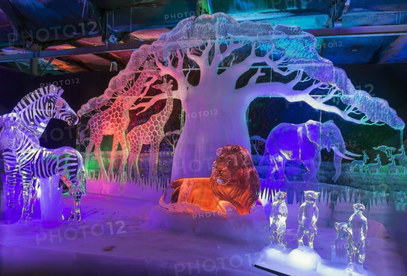 Theme Africa, Ice Sculpture Festival, Zwolle, Province Overijssel, Netherlands