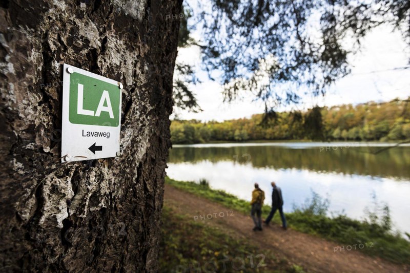 Holzmaar in the Volcanic Eifel, almost completely surrounded by forest, hiking trail, lava trail, circular trail, maar, maar, lake, nature reserve, Gillenfeld, Rhineland-Palatinate, Germany, Europe