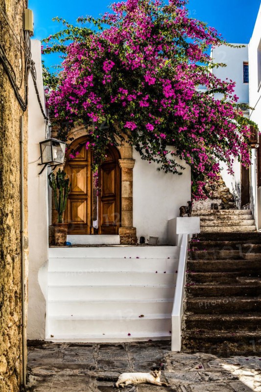 Old wooden doors with pebble mosaics on the floor, winding streets with white houses, Lindos, Rhodes, Greece, Europe