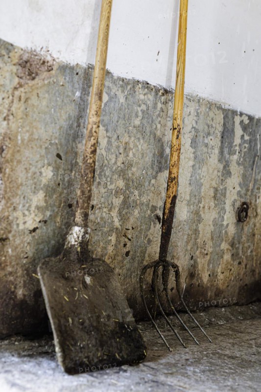 Shovel and pitchfork on a demeter farm in Holzkirchen, 16.06.2022., Holzkirchen, Germany, Europe
