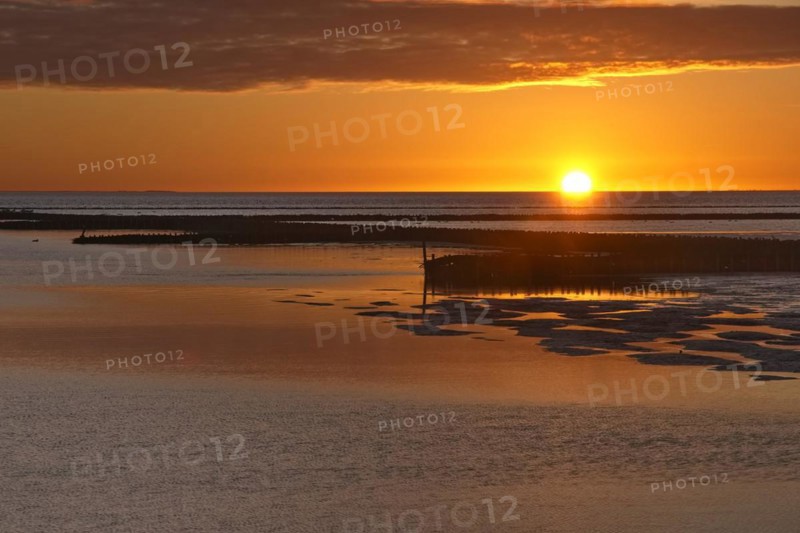 Sunset at low tide in the Wadden Sea National Park. Groynes protect the tidal flats. The Wadden Sea off the North Frisian coast is a UNESCO World Heritage Site. Schoepfwerk Suedwesthoern, Emmelsbuell-Horsbuell, Schleswig-Holstein, Germany, Europe
