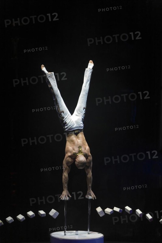 Artist in circus ring