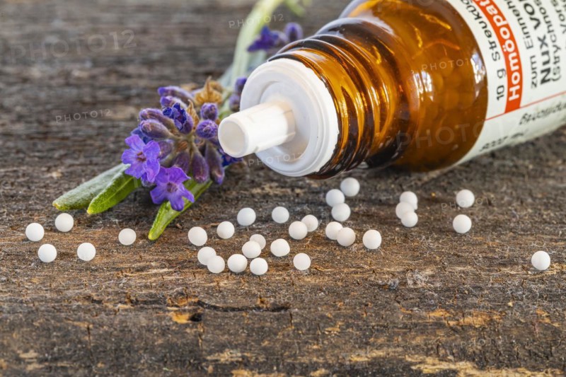 Homeopathic medicine, globules scattered next to a medicinal plant, studio shot, Germany, Europe