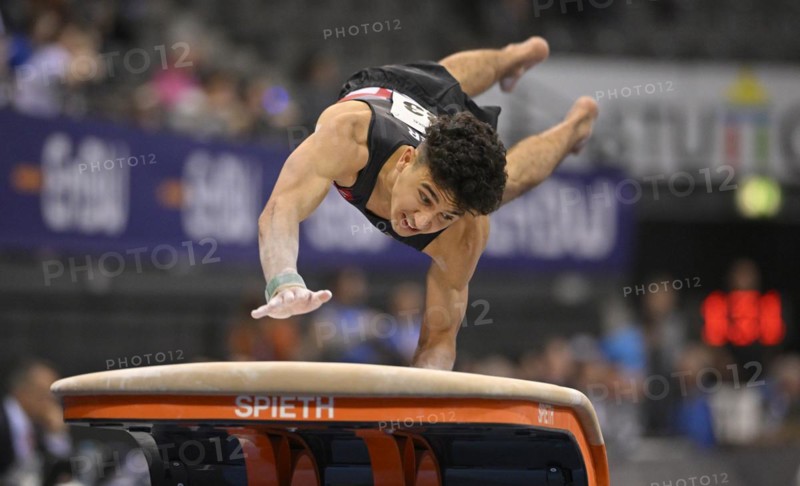 Milan Hosseini