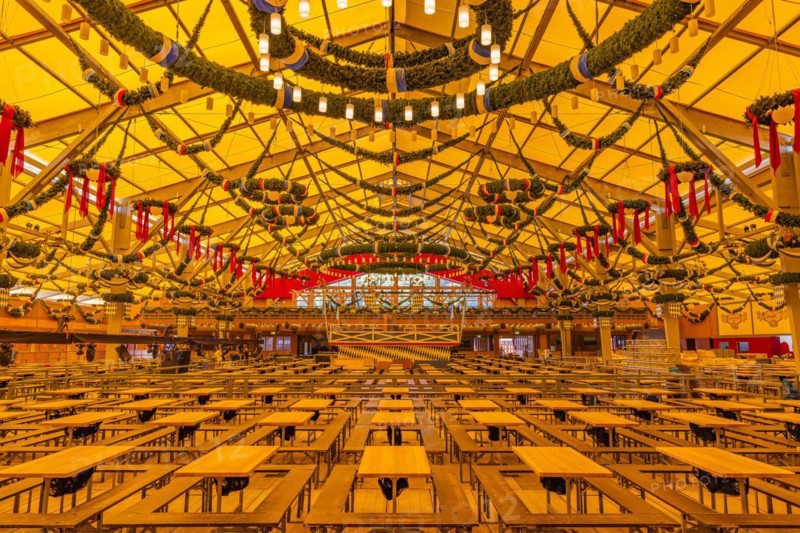 Wiesnaufbau, beer tavern in the Ochsenbraterei marquee, Oktoberfest, Theresienwiese, Munich, Upper Bavaria, Bavaria, Germany, Europe